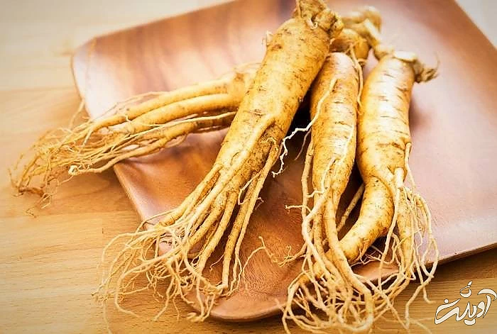 نحوه مصرف گیاه جینسینگ جینسینگ برای پوست